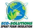 Eco Solutions Spray Foam 